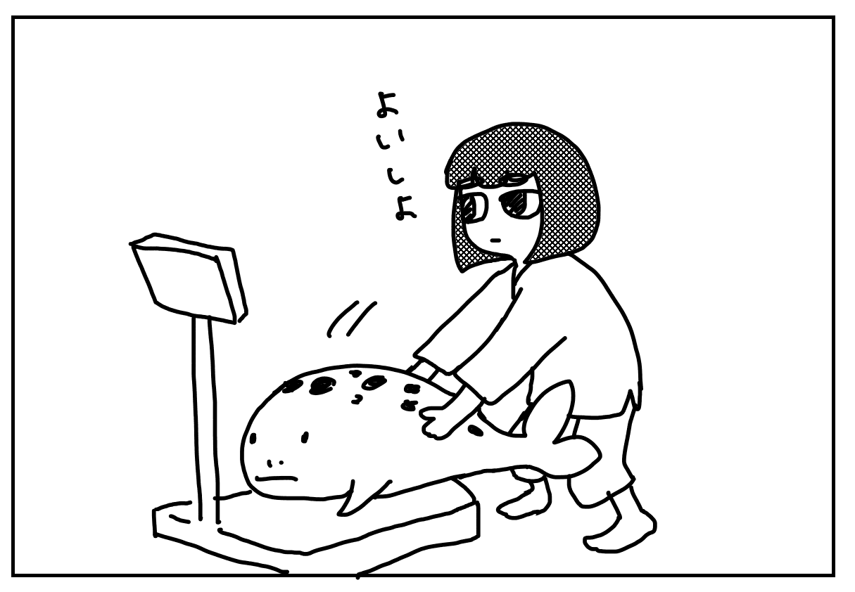 ボートレーサーの身長と体重